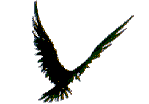oiseau.gif (4438 octets)